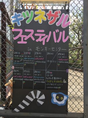 レムールフェス