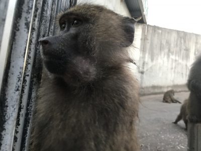 お顔に変化が！