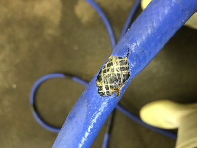 穴あきホース