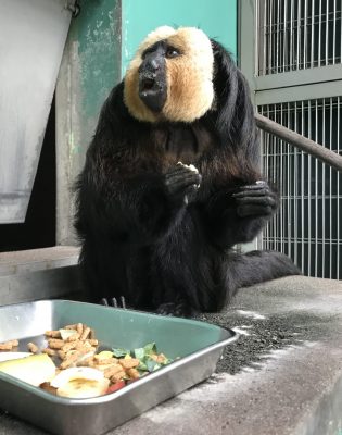 10月23日のモップくん