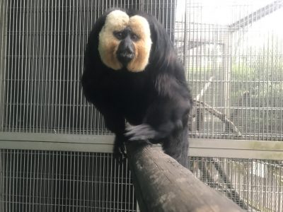 冬のモップくん
