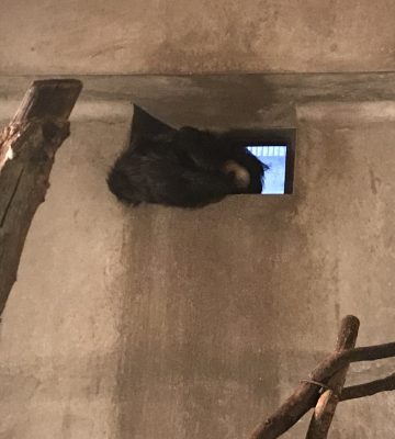 寝てる…