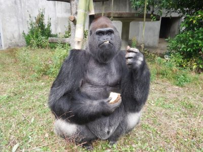 タロウさん