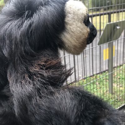 モップくんの右腕