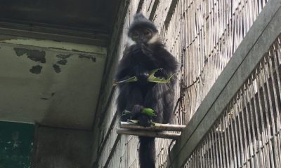 ニィ