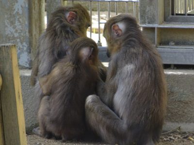 サユミに抱きつくイラーリ