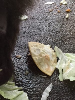 食べ終えたミカンの皮
