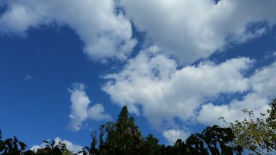夏の空