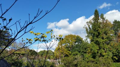 秋の空