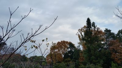 曇り空
