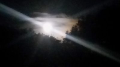 綺麗な月