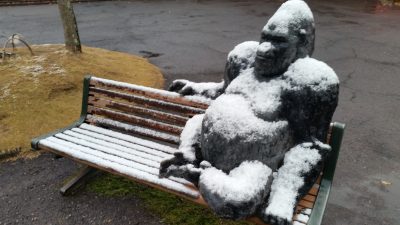 ゴリラと雪
