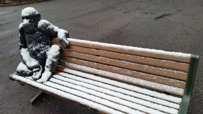 チンパンジーと雪