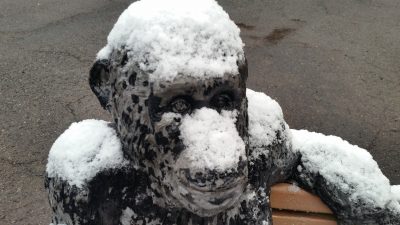 雪チンパンジー