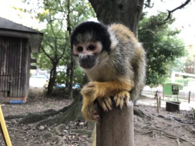 ミカンおばあちゃん2