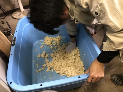 一人餅つき大会