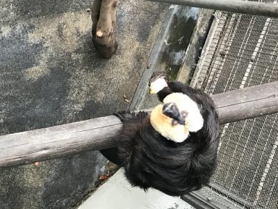 昼ごはんを食べるモップくん