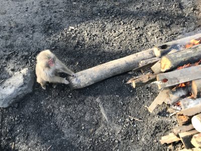 抜き足