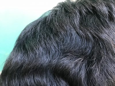 ウェーブのかかった毛