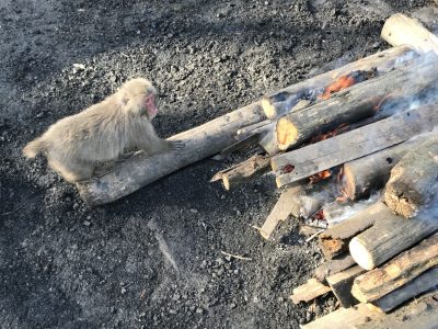 差し足