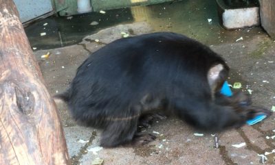雑巾掛け3