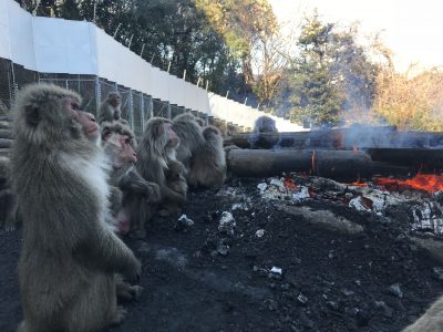 焚き火と姿勢の良いリーチ