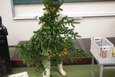 モミの木