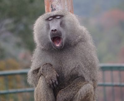 この瞬間が好き♪