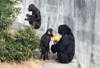 じ～