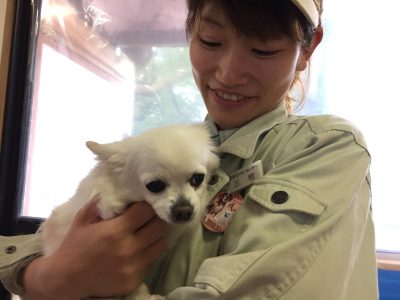 チワワと三宅さん
