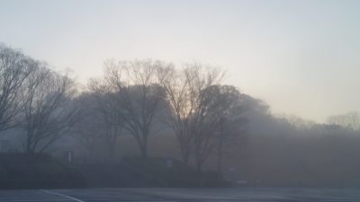 朝靄でした