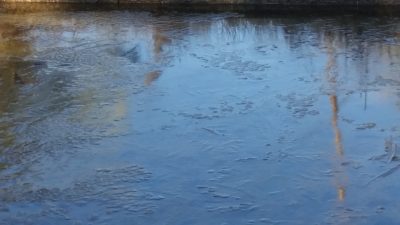 池が凍る