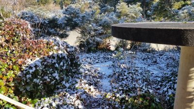 運動場も雪化粧