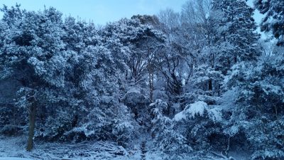 雪景色