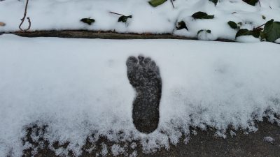 私です