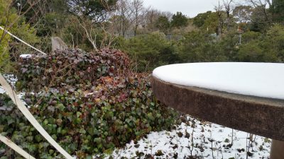 雪残る運動場