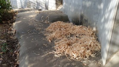 ベッドのあと