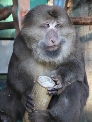 ニヤケ顔