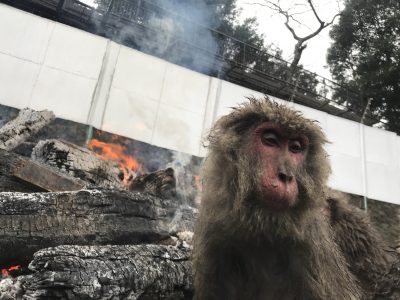 タニソバおばあちゃん