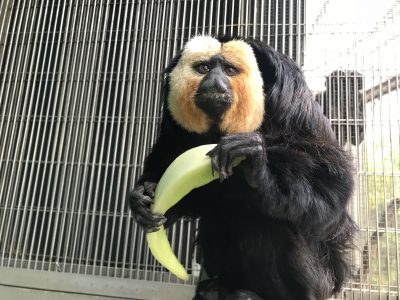 満足気な顔