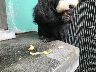 ニンジン捨てた！ついでに蒸しイモの皮の捨ててある！！