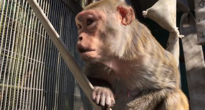 隣を見る