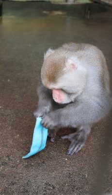開ける