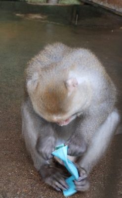 おや？