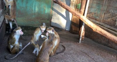 おぉ 良いもの持ってんじゃん