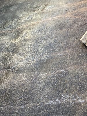 ヒヒの城放飼場