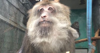待つキルア