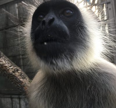 サミー1