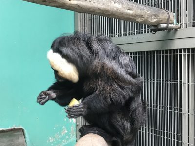 右手のイモを食べ終わる