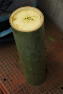 ザルバマシン2号